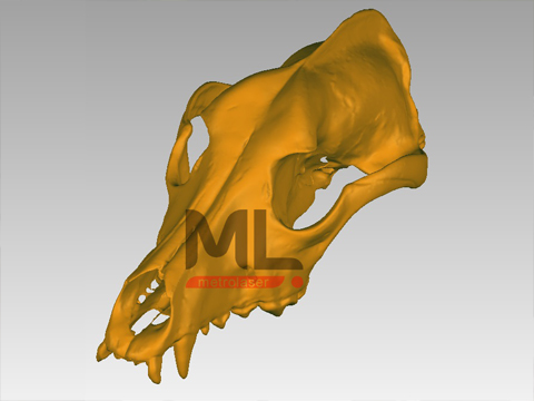 Digitalizado de piezas para impresin3D o inspeccin.